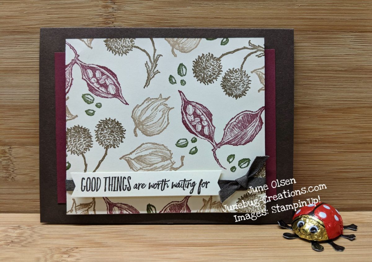 Junebug Creations card using Enjoy the Moment stampset from Stampin' Up!