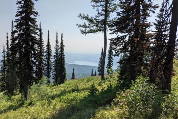 View from Big Mountain in Whitefish, MT