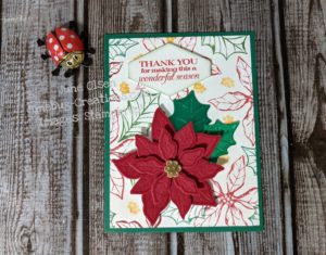 Junebug Creations Poinsettia Petals Thank you card