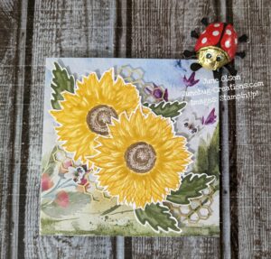 Sweet Sunflower card from Paper Pumpkin as an alternate using the envelope as the patterned paper